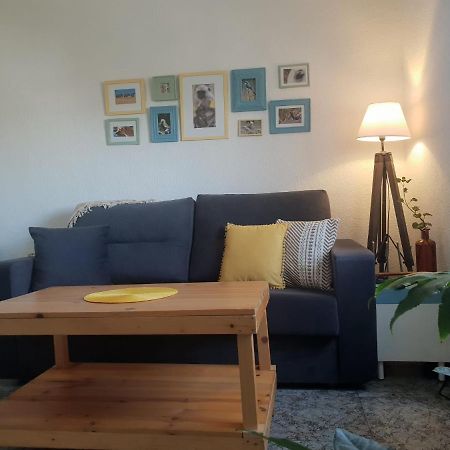 Bonito Y Coqueto Apartamento Córdoba Kültér fotó