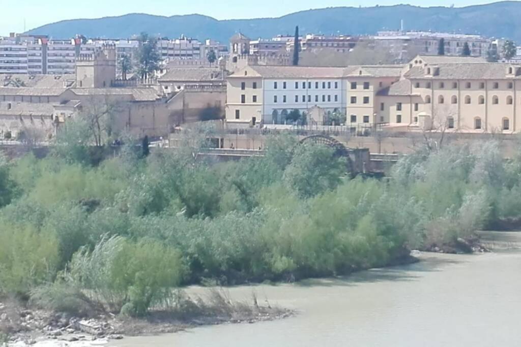 Bonito Y Coqueto Apartamento Córdoba Kültér fotó