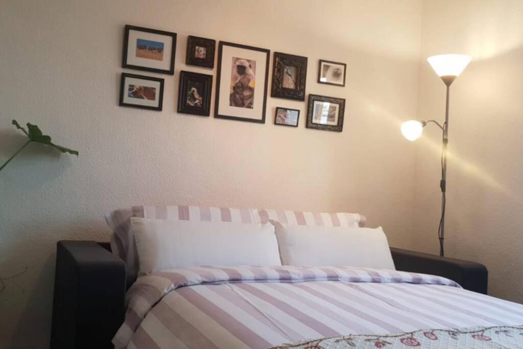 Bonito Y Coqueto Apartamento Córdoba Kültér fotó