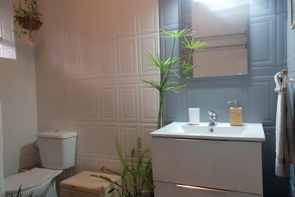 Bonito Y Coqueto Apartamento Córdoba Kültér fotó