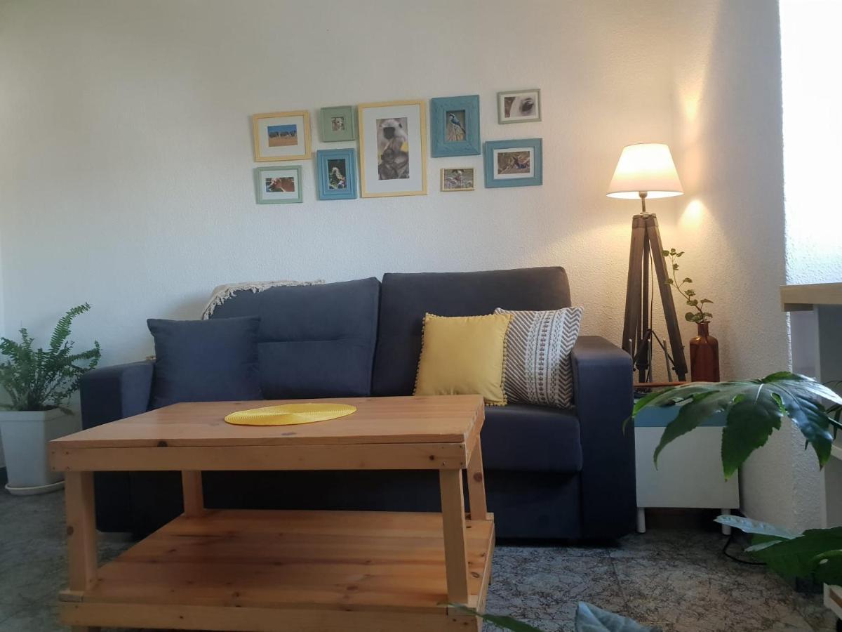 Bonito Y Coqueto Apartamento Córdoba Kültér fotó